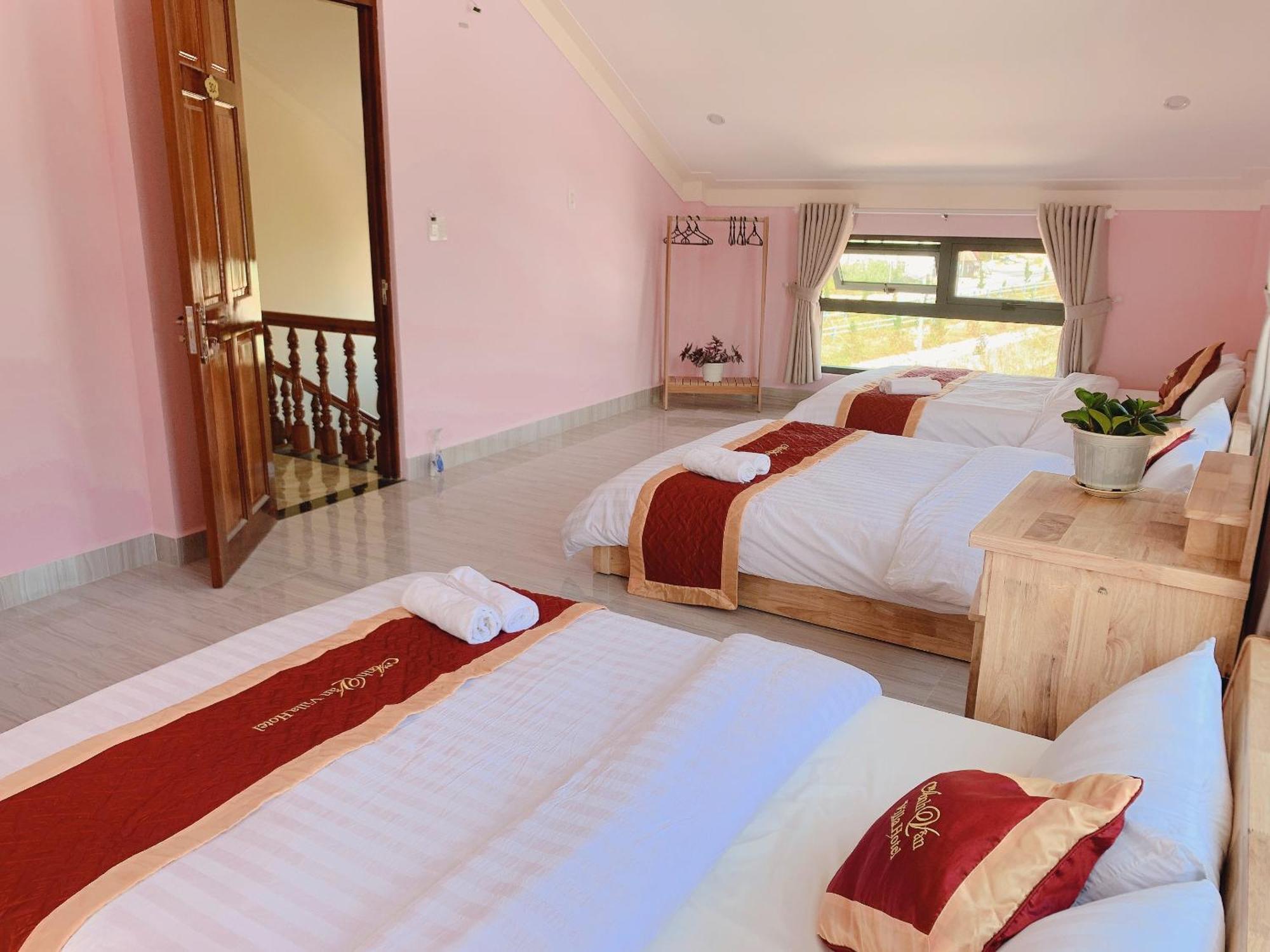 Ánh Vân Villa hotel Da Lat Esterno foto